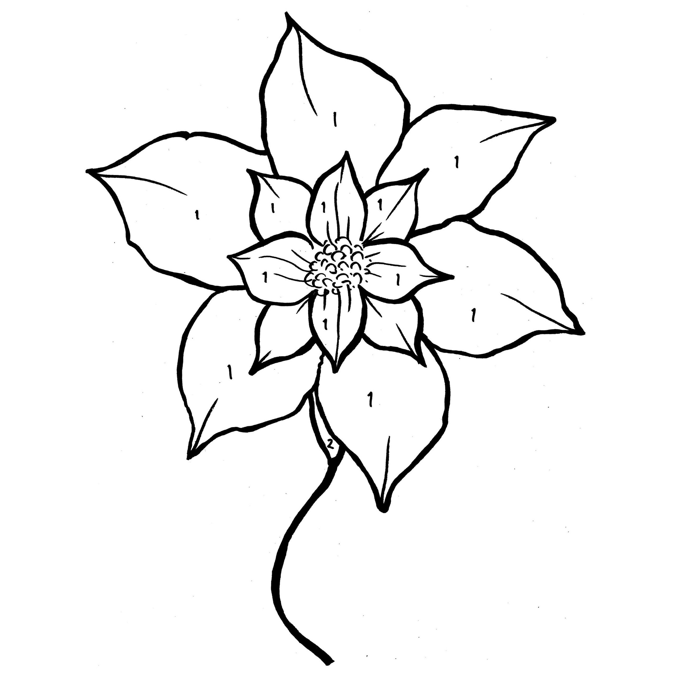 Christmas Poinsettia Coloring Page at Free printable
