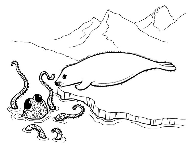 Circus Seal Coloring Page at GetColorings.com | Free printable