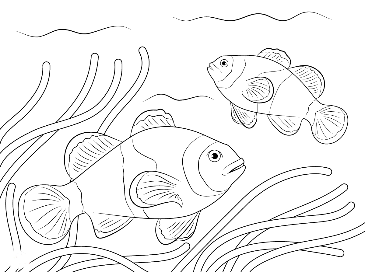 Clown Fish Coloring Page at GetColorings.com | Free printable colorings