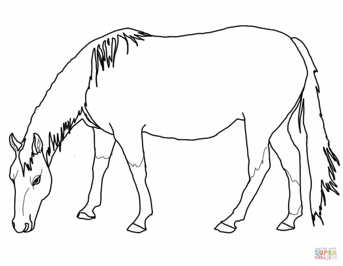 Clydesdale Coloring Pages at GetColorings.com | Free printable