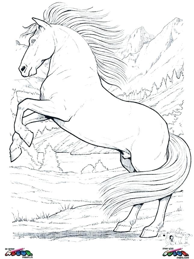 Clydesdale Coloring Pages at GetColorings.com | Free printable