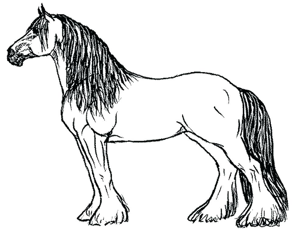 Clydesdale Horse Coloring Pages at GetColorings.com | Free ...