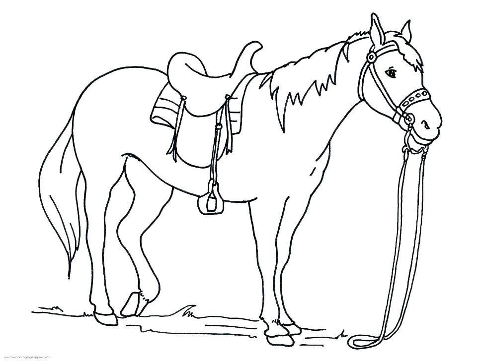 Clydesdale Horse Coloring Pages at GetColorings.com | Free printable