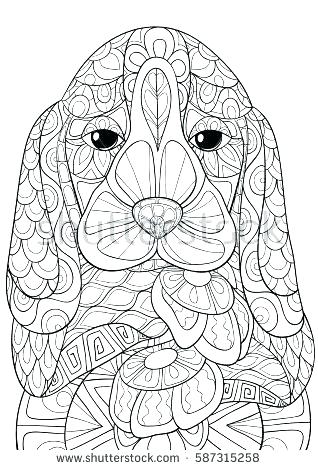 Cocker Spaniel Coloring Page at GetColorings.com | Free printable