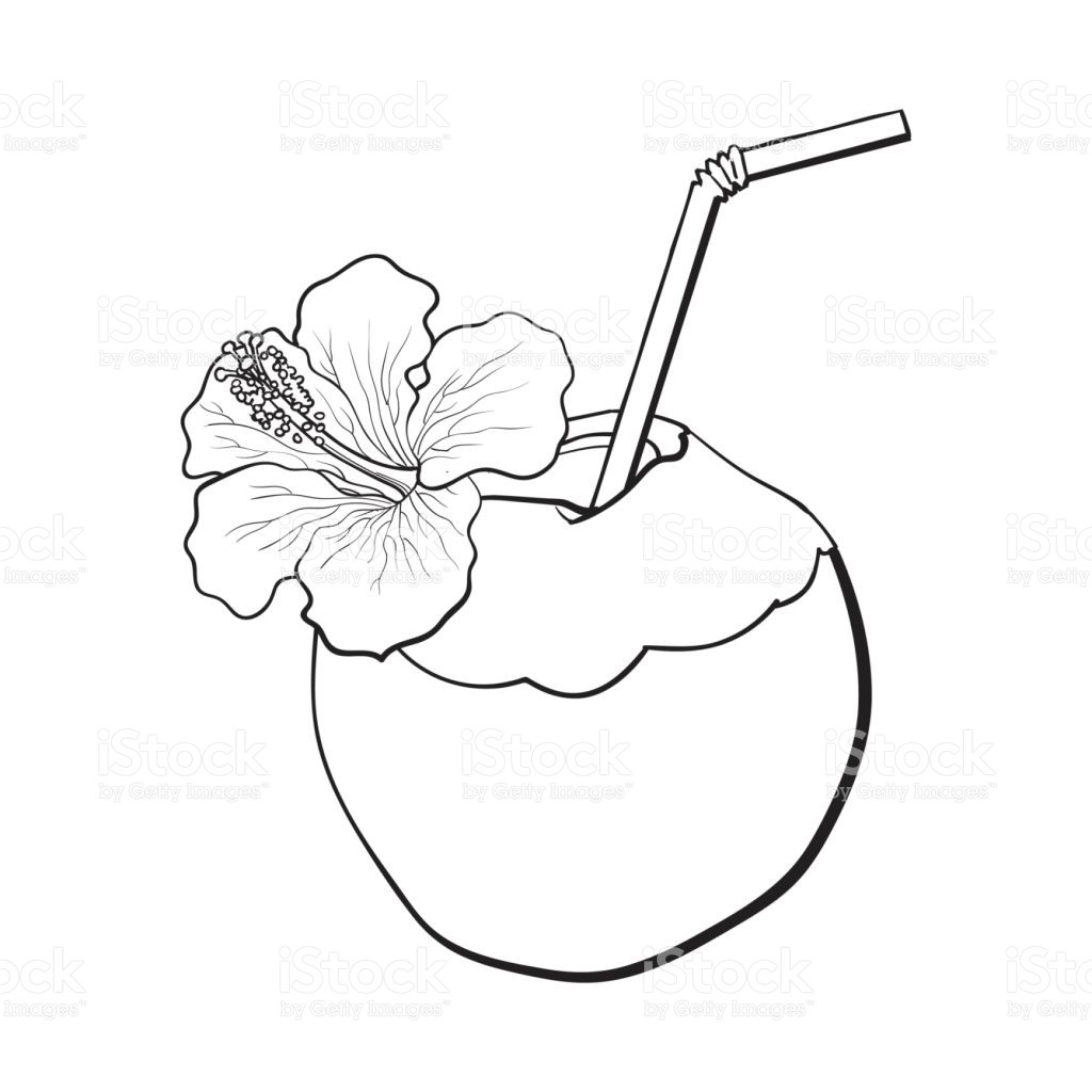 Coconut Coloring Page at GetColorings.com | Free printable colorings