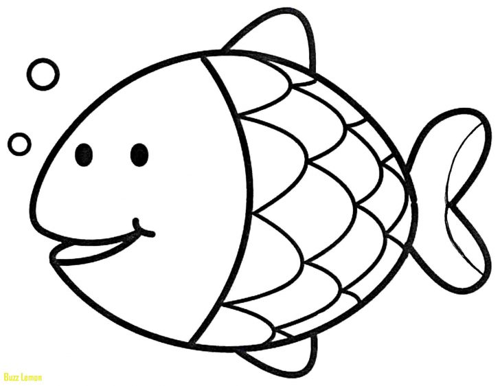 Cod Fish Coloring Pages at GetColorings.com | Free printable colorings