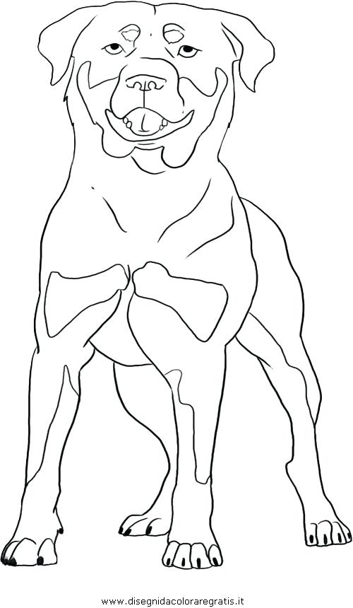 collie-coloring-pages-at-getcolorings-free-printable-colorings