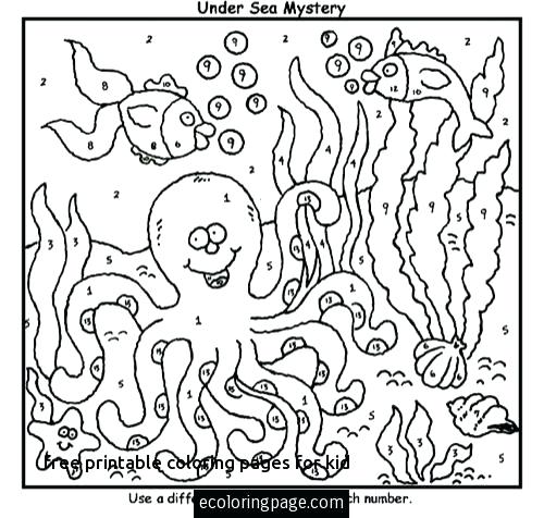 500x476 Color By Number Printable Pages Free Coloring