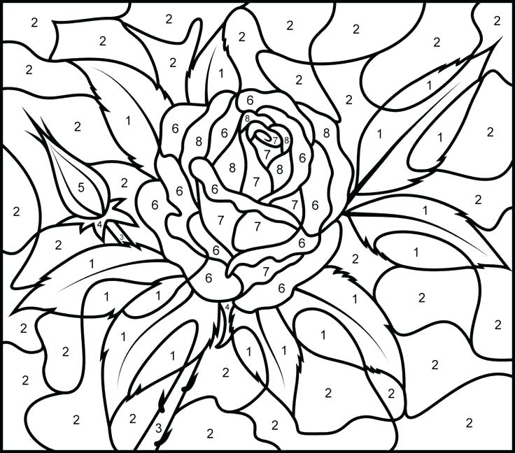 Color By Number Coloring Pages For Adults At Free Printable Colorings Pages