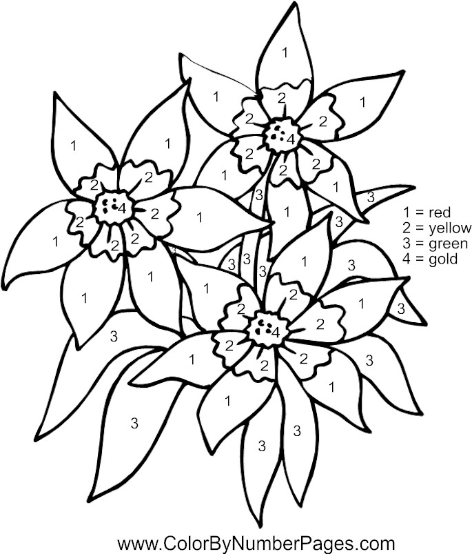 flowers color by numbers coloring pages