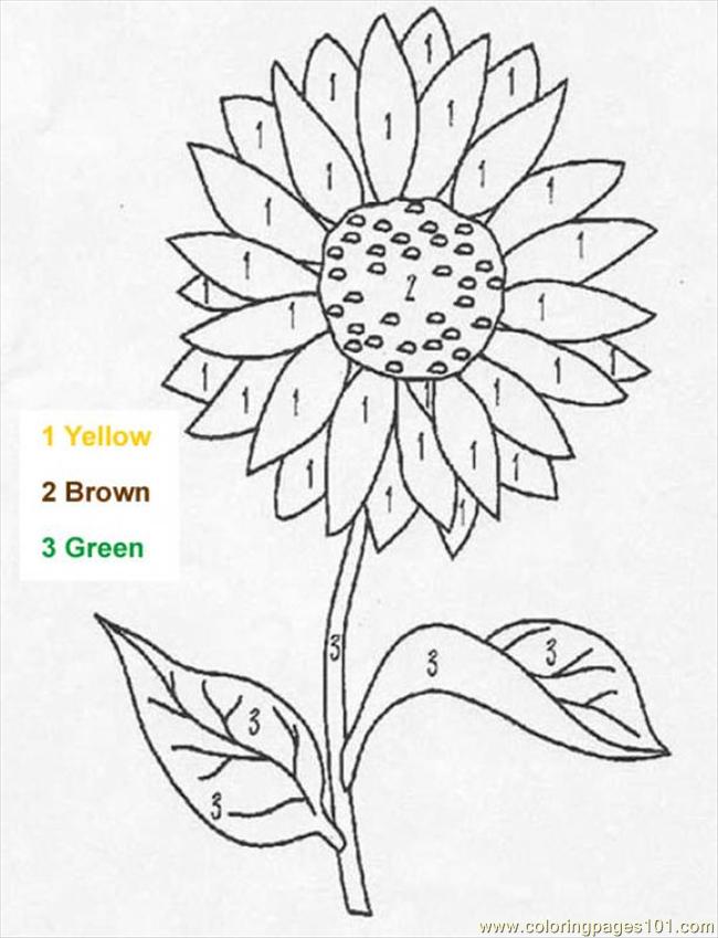 650x849 Er Color By Number Source Smg Coloring Page