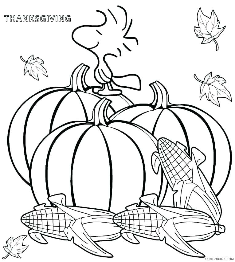 765x850 Thanksgiving Color Pages Free Good