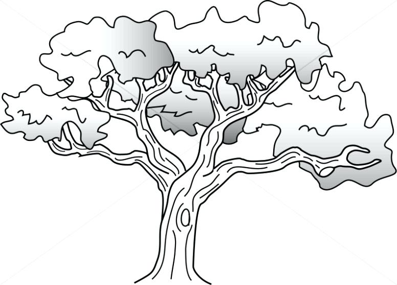 Coloring Page Oak Tree at Free printable colorings