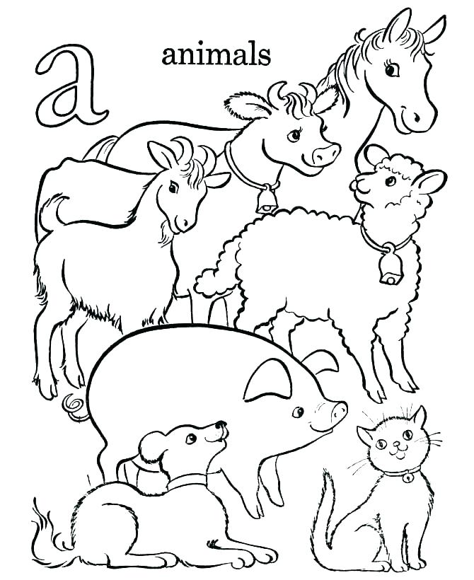Coloring Pages Animals And Their Babies at Free