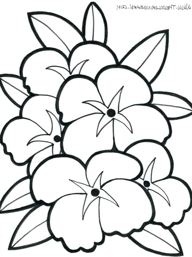 Coloring Pages Big at Free printable colorings pages