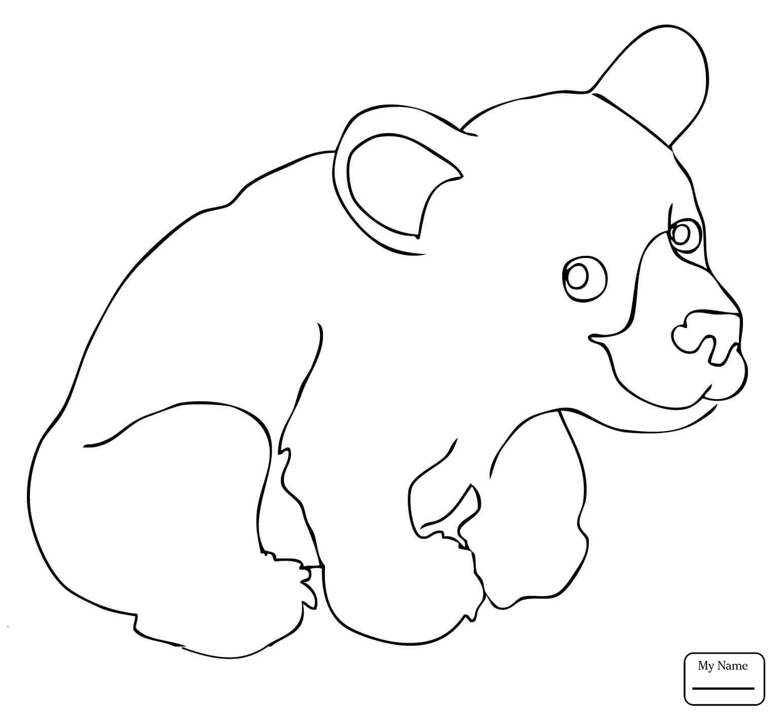 Coloring Pages Black Bear at Free printable