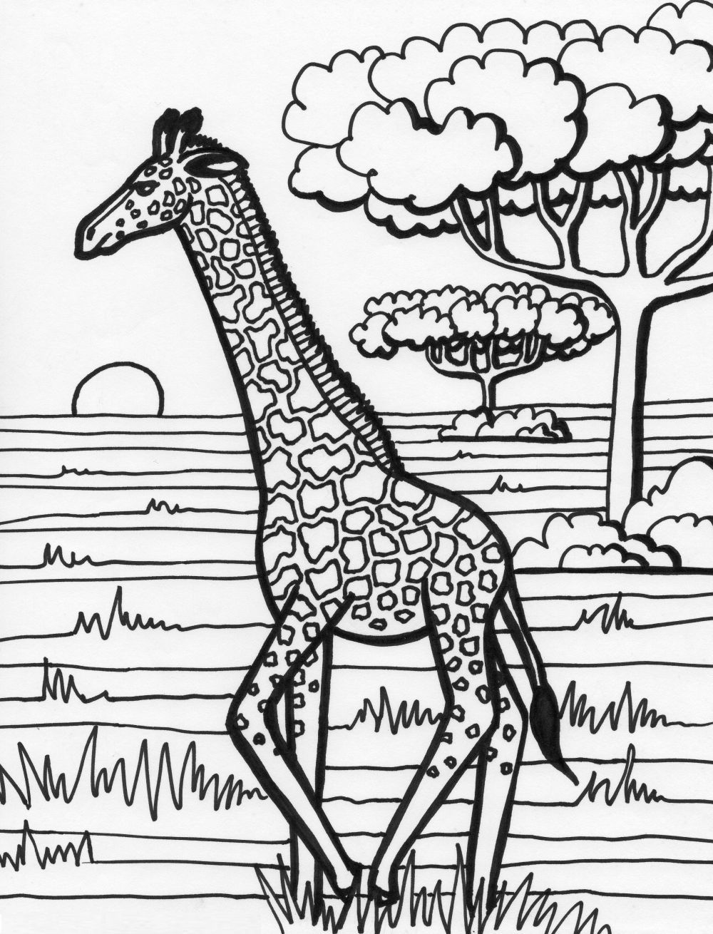 Coloring Pages For Adults Giraffe at GetColorings.com | Free printable