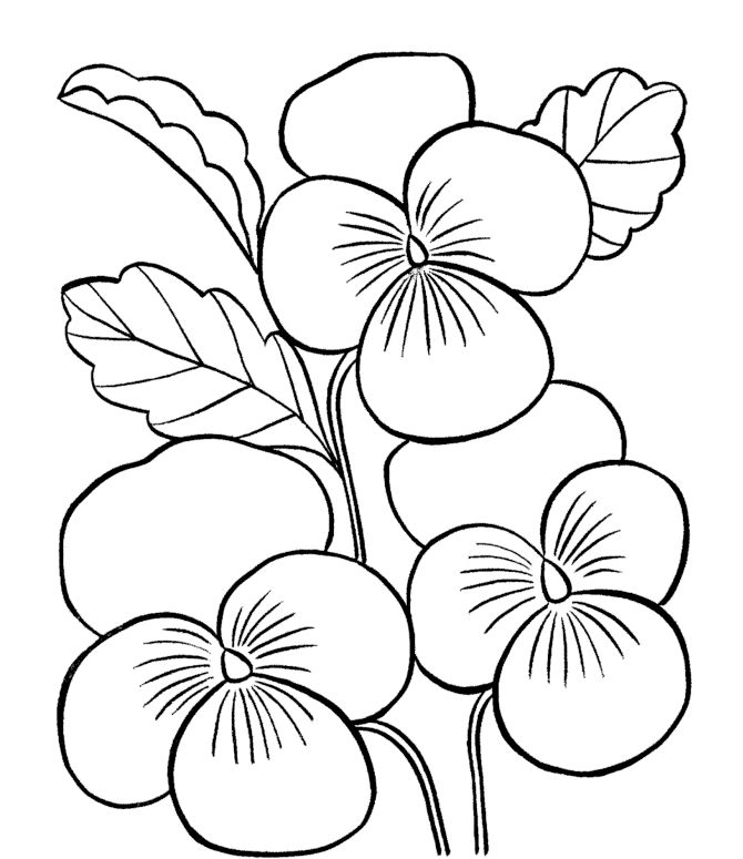 Coloring Pages For Adults Simple at GetColorings.com | Free printable