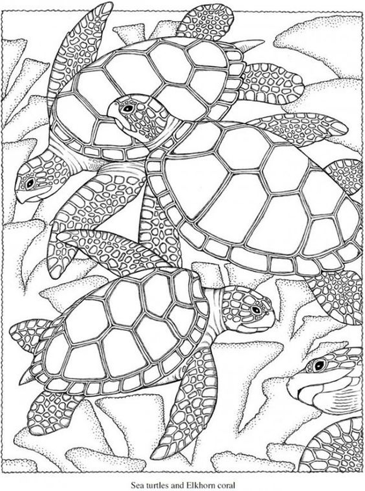 Coloring Page Summer 23