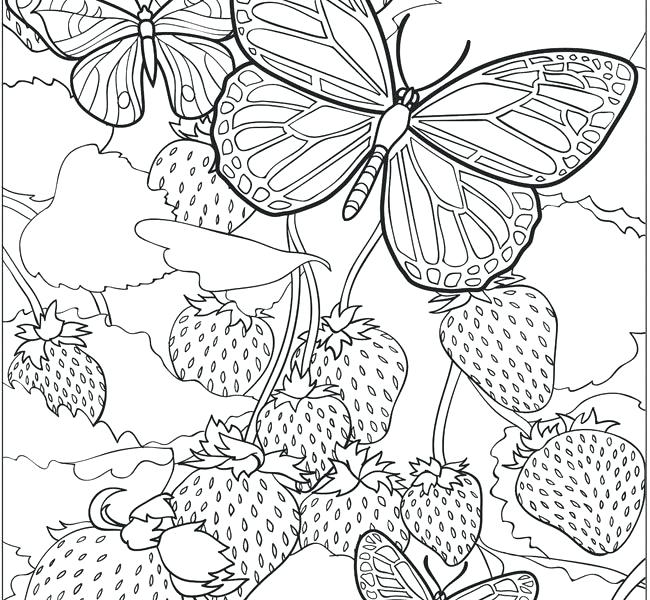 49+ lovely image Easy Coloring Pages For Seniors : Birdhouse Coloring