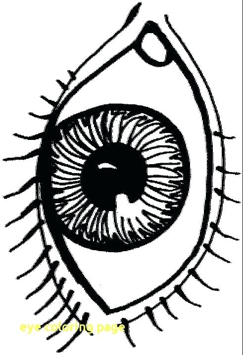 Coloring Pages For Eyes at GetColorings.com | Free printable colorings