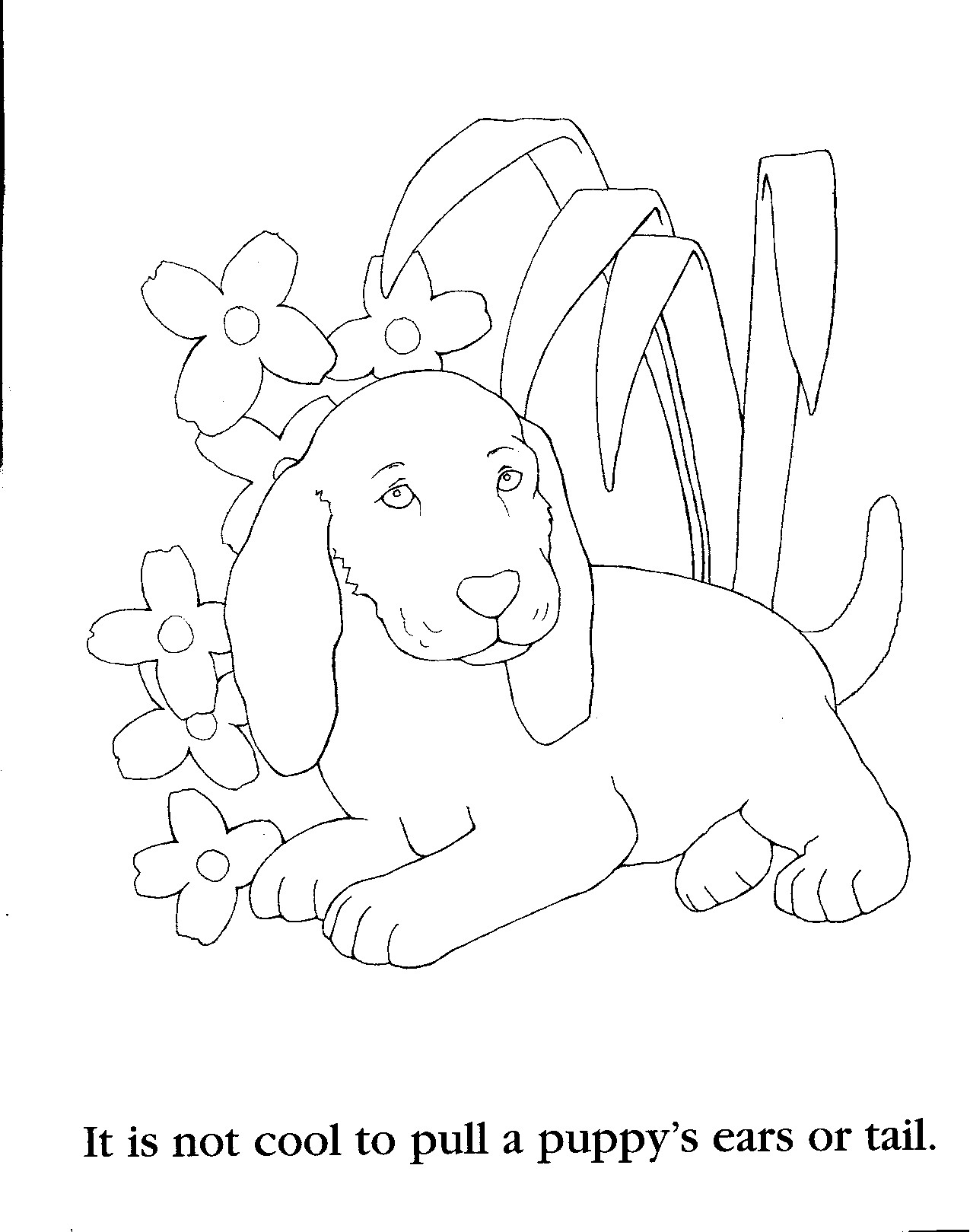 Coloring Pages For Girls 9 And Up at GetColorings.com | Free printable