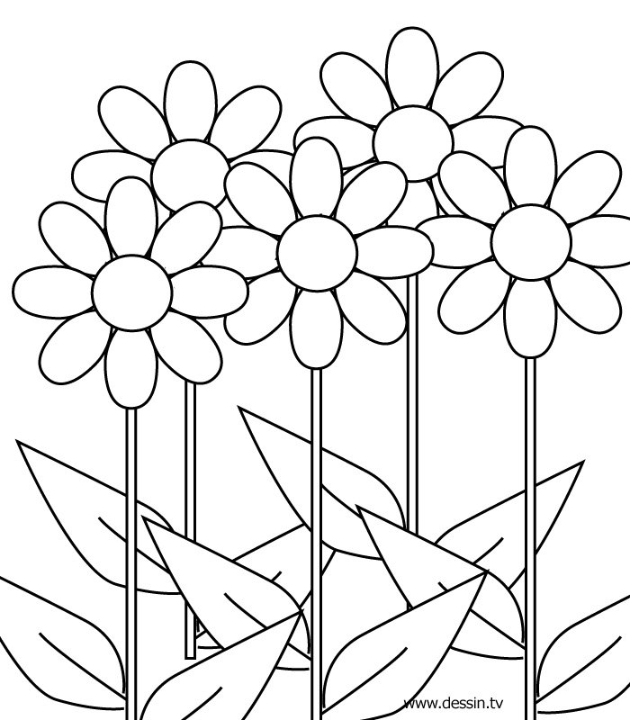 Coloring Pages For Girls 9 And Up at GetColorings.com | Free printable