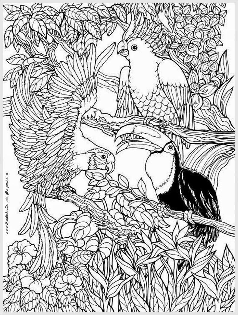 coloring-pages-for-young-adults-at-getcolorings-free-printable