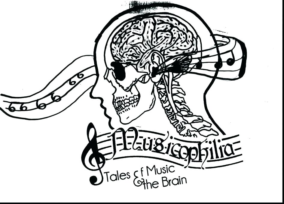 Coloring Pages Of A Brain at GetColorings.com | Free printable