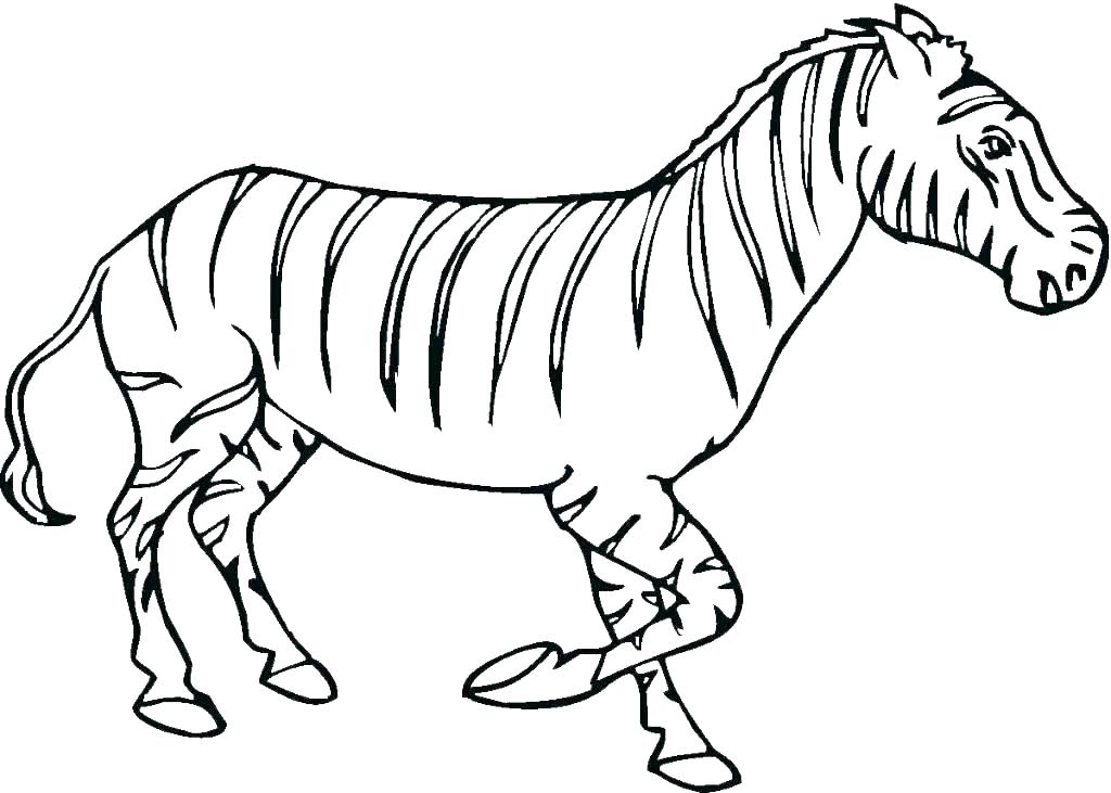 Coloring Pages Of Baby Zebras At GetColorings Free Printable 