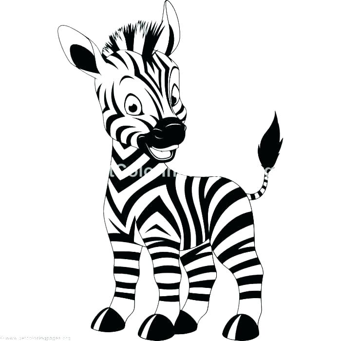 700x700 Zebra Coloring Page Pages Of Zebras Free