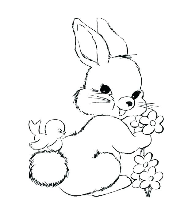 636x713 Coloring Pages Bunnies Baby Rabbit