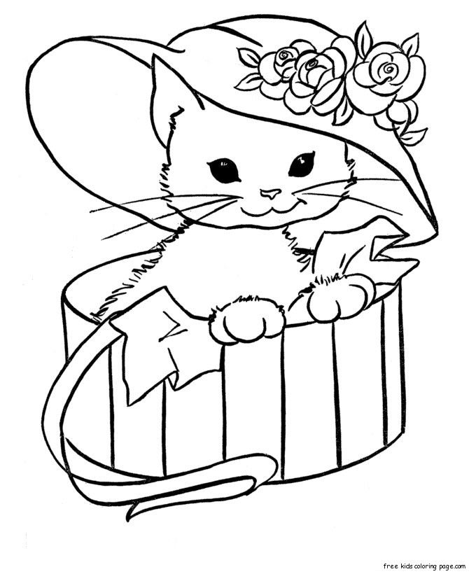 670x820 Related Pictures Cute Cats Coloring Pages Kitten Car