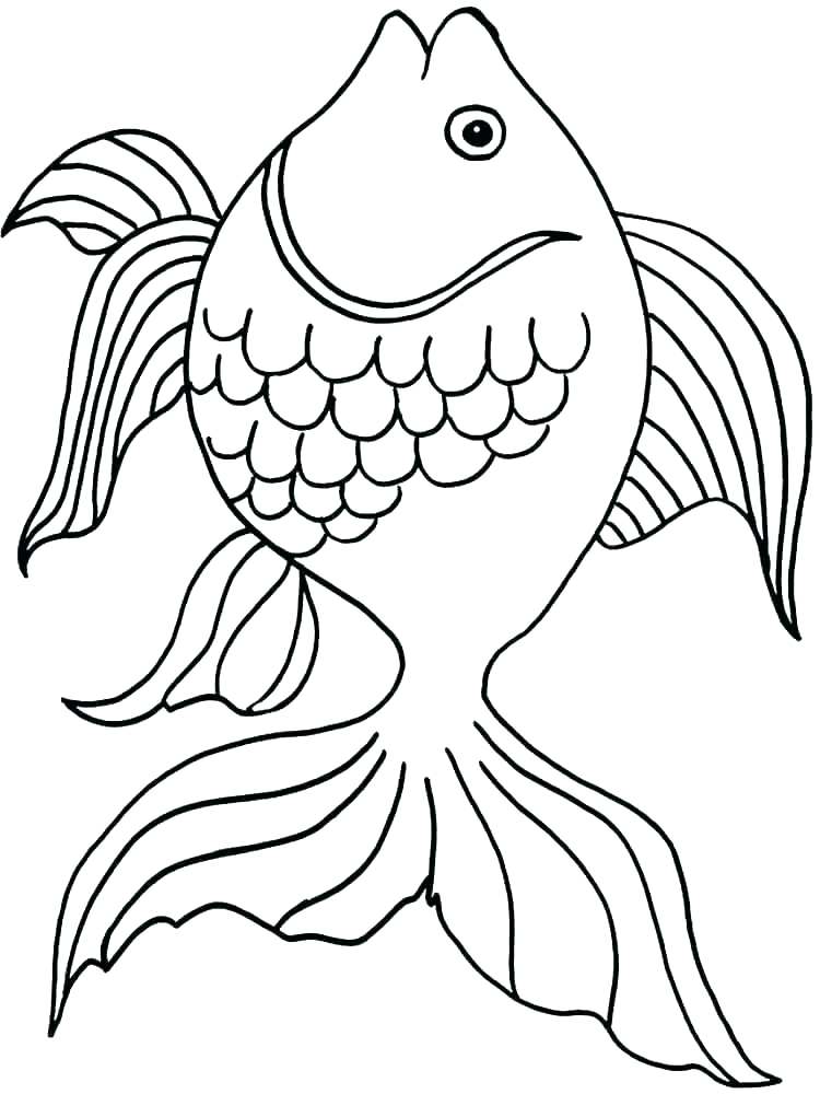 coloring-pages-of-goldfish-at-getcolorings-free-printable