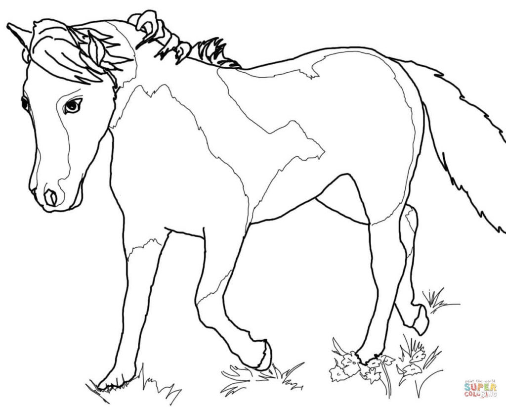 Coloring Pages Of Horses And Foals at GetColorings.com | Free printable