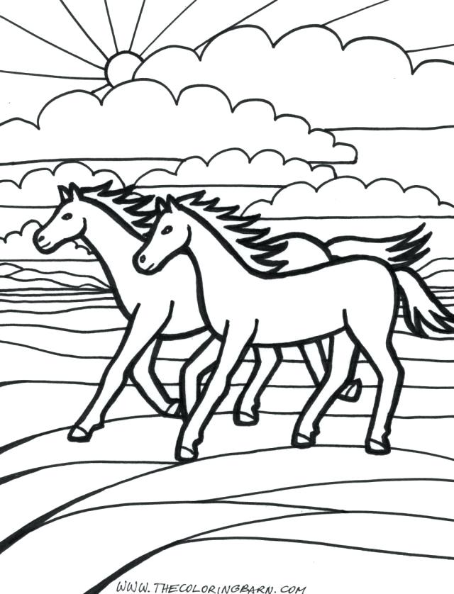 Coloring Pages Of Horses And Foals at GetColorings.com | Free printable