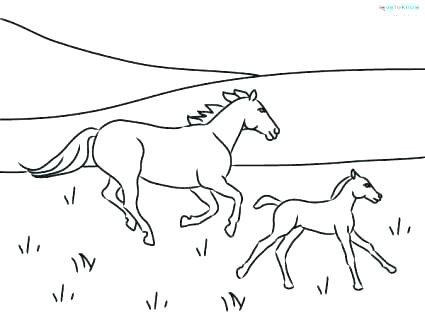 425x329 Realistic Foal Coloring Pages Fresh Free For Adults 425x329 Realistic Foal Coloring Pages Fresh Free For Adults