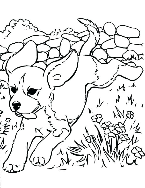 Coloring Pages Of Husky Puppies at Free