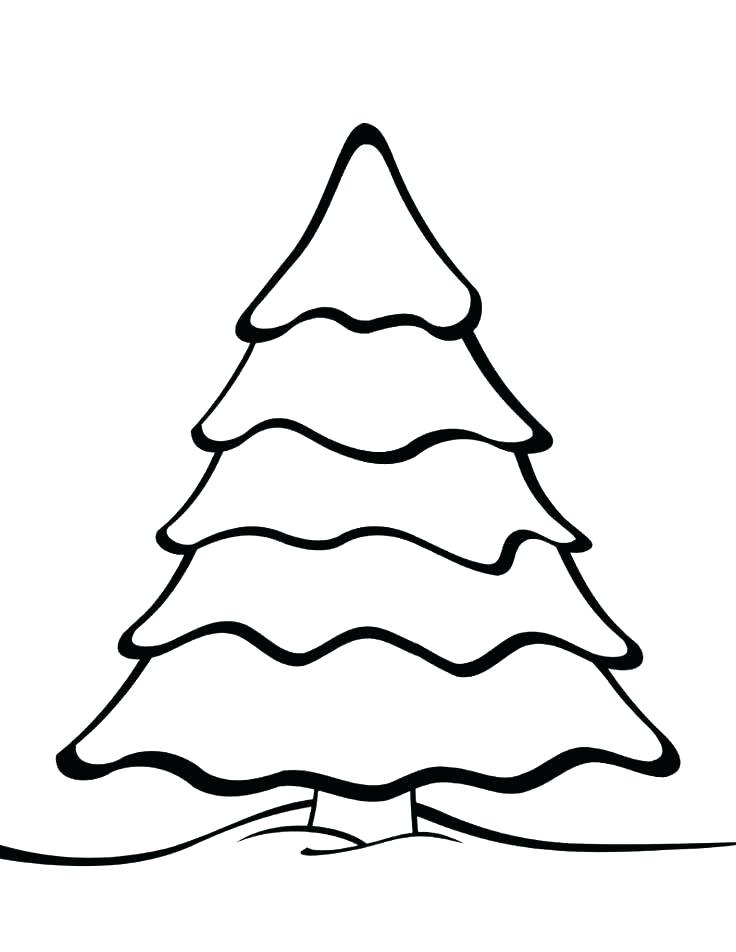 Coloring Pages Of Pine Trees at Free printable
