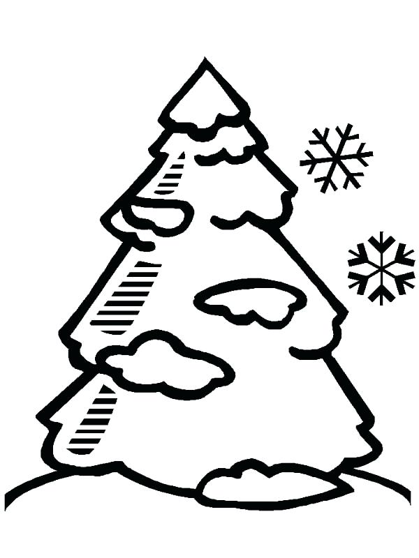 Coloring Pages Of Pine Trees at GetColorings.com | Free printable