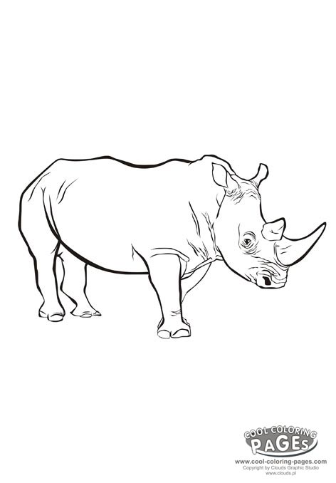 Coloring Pages Of Rhinos at GetColorings.com | Free printable colorings