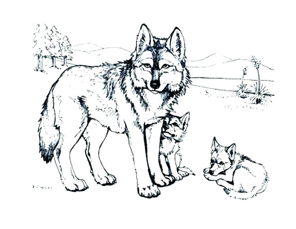 Coloring Pages Of Wolves With Wings at GetColorings.com | Free