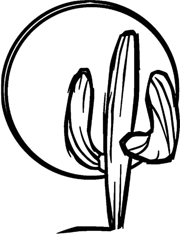 Coloring Pages Outline at GetColorings.com | Free printable colorings