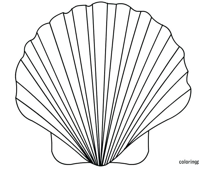 Coloring Pages Sea Shells at GetColorings.com | Free printable