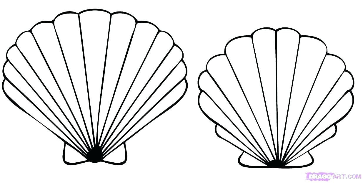 Coloring Pages Sea Shells at GetColorings com Free printable