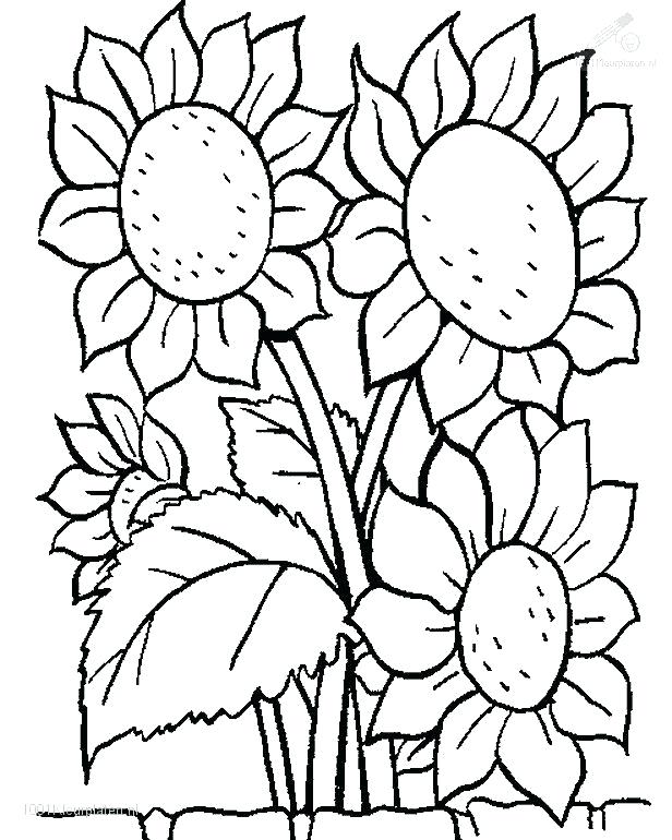 Coloring Pages Trees Plants And Flowers at GetColorings.com | Free