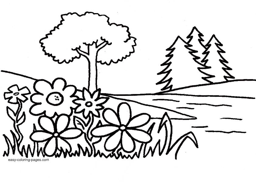 Coloring Pages Trees Plants And Flowers at GetColorings.com | Free