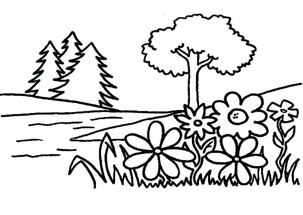 Coloring Pages Trees Plants And Flowers At GetColorings Free 