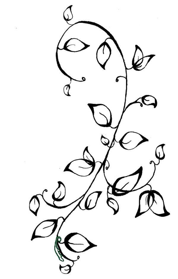 Coloring Pages Vines At GetColorings Free Printable Colorings 