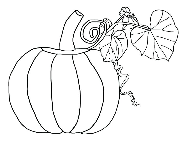 Coloring Pages Vines at GetColorings.com | Free printable colorings